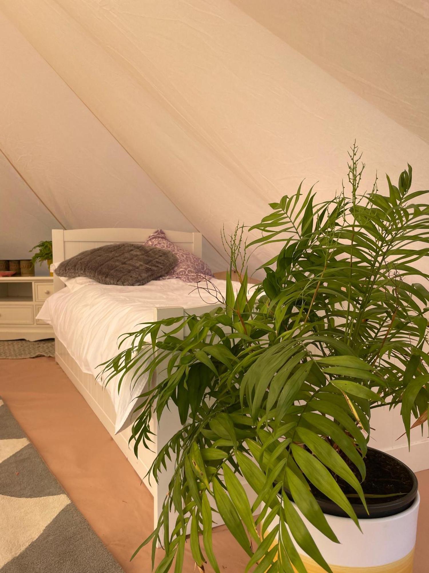 Trevena Cross Glamping & Camping ヘルストン エクステリア 写真