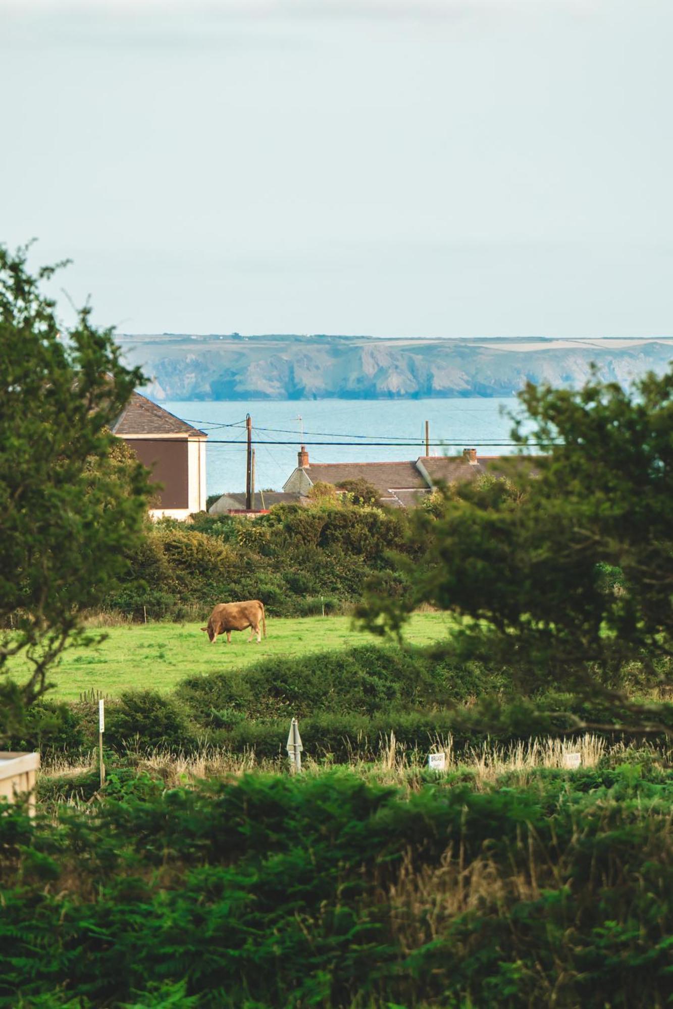 Trevena Cross Glamping & Camping ヘルストン エクステリア 写真