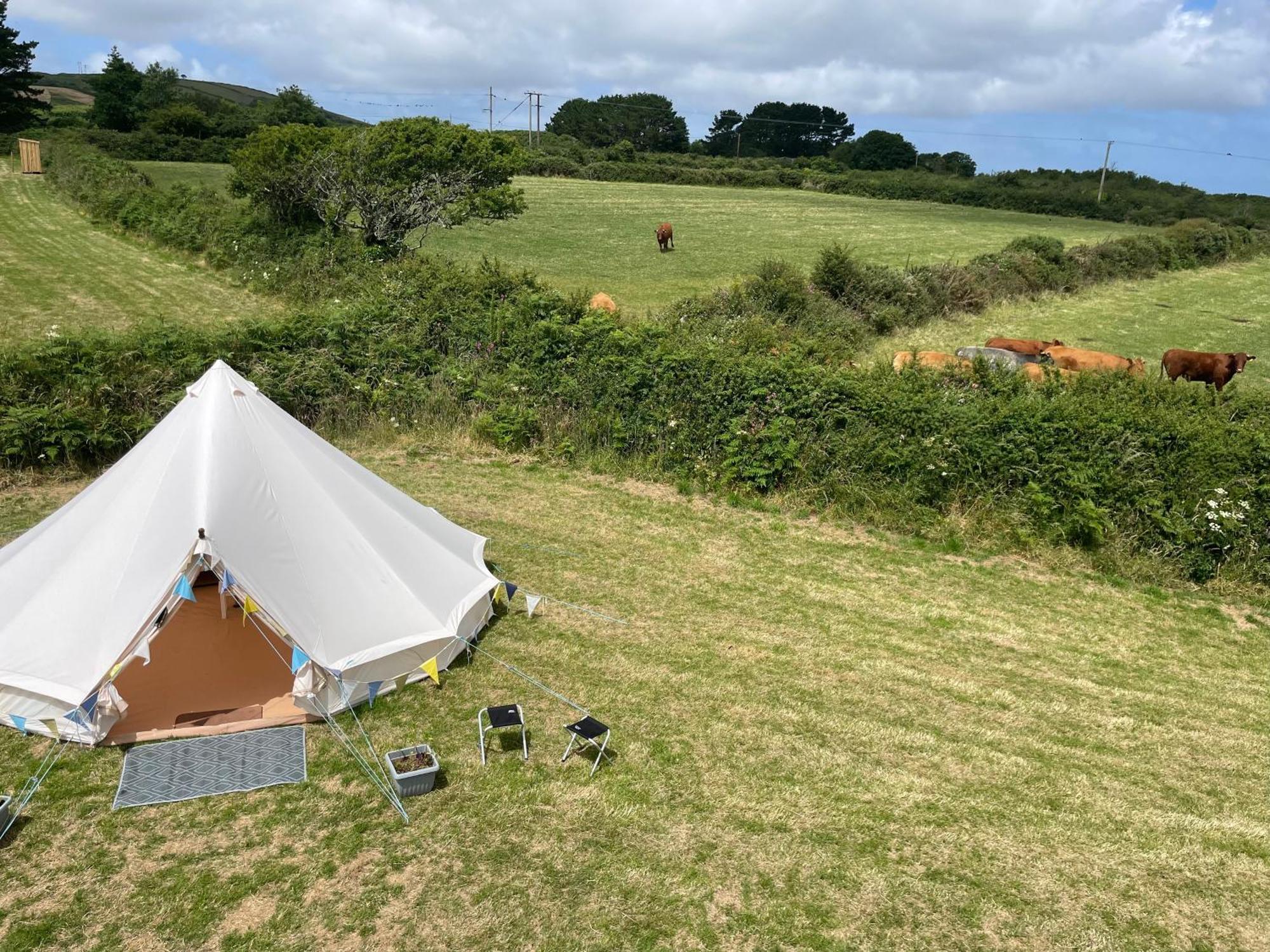 Trevena Cross Glamping & Camping ヘルストン エクステリア 写真